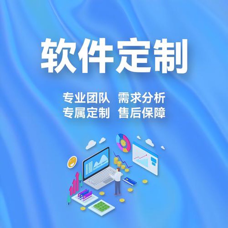 软件定制开发:助力企业精准导航